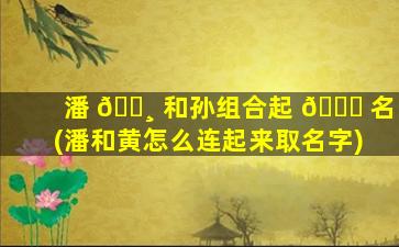 潘 🕸 和孙组合起 🐟 名(潘和黄怎么连起来取名字)